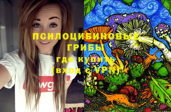 трава Каменка