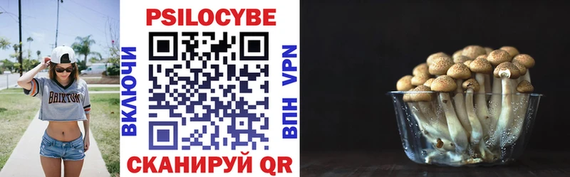 Псилоцибиновые грибы Psilocybine cubensis  Купить где  Туймазы 